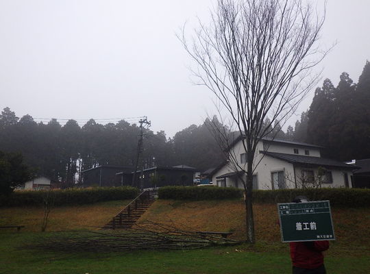 伐採現場