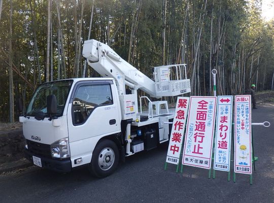 伐採現場