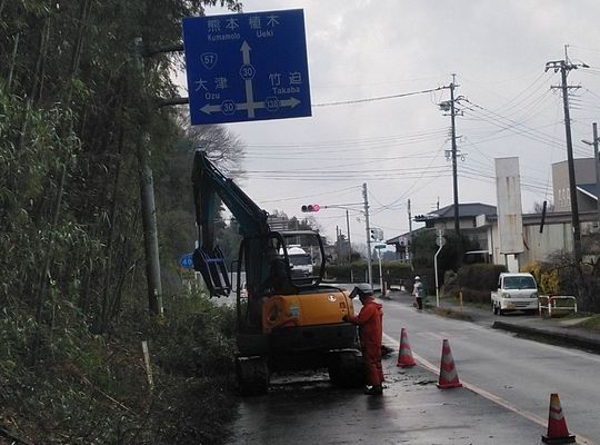 伐採現場