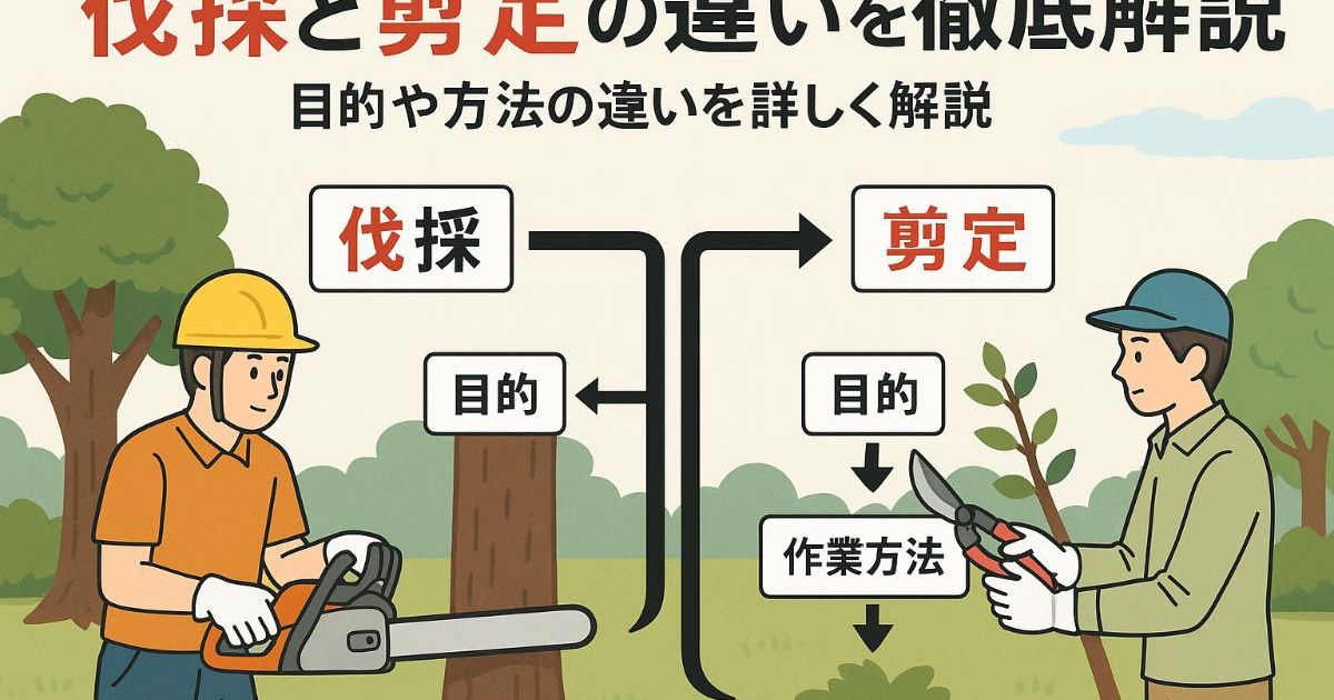 伐採と剪定の違いを徹底解説｜庭木手入れの基礎知識・費用相場と正しい 